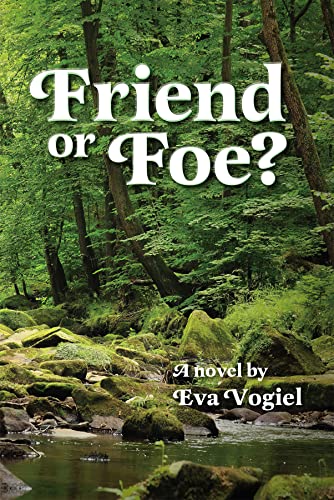 Friend or Foe? (Hardcover)