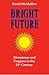 Bright Future: Abundance and Progress in the 21st Century