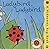 Hideaway Bug Book: "Ladybird, Ladybird" (Hideaway Bug Books)