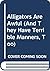 Alligators Are Awful (And They Have Terrible Manners, Too)