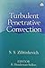 Turbulent Penetrative Convection