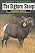 The Bighorn Sheep (Wildlife of North America)