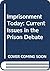 Imprisonment Today: Current Issues in the Prison Debate