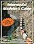Intermodal Modeler's Guide