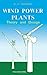 Wind power plants: Theory and design