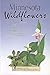 Minnesota Wildflowers: A Children's Field Guide to the State's Most Common Flowers (Interpreting the Great Outdoors)