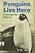 Penguins live here