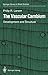 The Vascular Cambium: Development and Structure (Springer Series in Wood Science)
