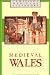 Medieval Wales (Cambridge Medieval Textbooks)