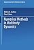 Numerical Methods in Multib...