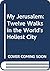 My Jerusalem by Teddy Kollek