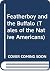 Featherboy and the Buffalo