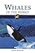 Whales of the World