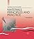 Materials Principles and Practice: Electronic Materials Manufacturing with Materials Structural Materials