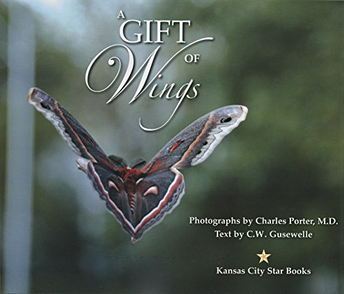 A Gift of Wings (Hardcover)