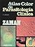 The Atlas de Color de Parasitologia Clinica - 2b* Ed. (Spanish Edition)