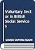The Voluntary Sector in British Social Services by Maria Brenton