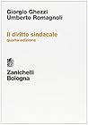 Il diritto sindacale (Italian Edition)