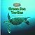 Green Sea Turtles (The Library of Turtles and Tortoises)