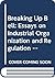 Breaking Up Bell: Essays on Industrial Organization and Regulation (Cera Research Study)