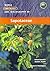 World Checklist and Bibliography of Sapotaceae by David G. Frodin