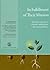 In Fulfillment of Their Mission - The Duties and Tasks of a Roman Catholic Priest: An Assessment Project