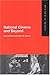 National Cinema And Beyond (Studies in Irish Film)