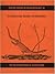 Cretaceous Fossil Vertebrates by David Unwin