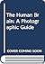 The Human Brain: A Photographic Guide