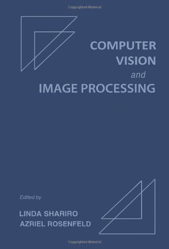 Computer Vision and Image Processing (Hardcover)