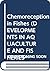 Chemoreception in Fishes (DEVELOPMENTS IN AQUACULTURE AND FISHERIES SCIENCE)
