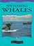 Watching Whales (Read All About Whales)
