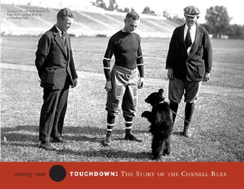 Touchdown: The Story of the Cornell Bear (Hardcover)