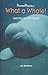 What a Whale! (Power Phonics/Phonics for the Real World)