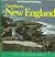 Northern New England: Maine, New Hampshire, Vermont