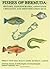 Fishes of Bermuda by William F. Smith-Vaniz
