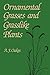 Ornamental Grasses and Grasslike Plants