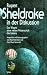Rupert Sheldrake in der Dis...