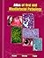 Atlas of Oral and Maxillofacial Pathology