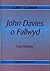 John Davies o Fallwyd (Llên y llenor) (Welsh Edition)