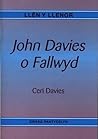 John Davies o Fallwyd (Llên y llenor) (Welsh Edition)