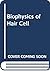 Biophysics of Hair Cell