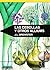 Las cebollas y otros alliums