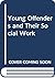 Young Offenders and Their Social Work