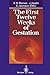 The First Twelve Weeks of Gestation