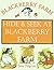 Hide and Seek At Blackberry Farm