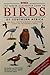 Sasol--the larger illustrated guide to birds of southern Africa: The most comprehensively illustrated guide to the region's birds