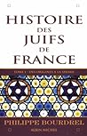 Histoire des Juifs de France - tome 1: Des origines à la Shoah