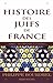 Histoire des Juifs de France - tome 1: Des origines à la Shoah