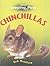 Chinchillas